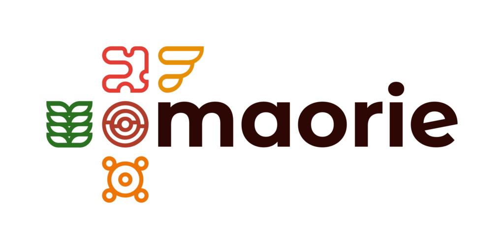 A first version of M.A.O.R.I.E, our ergonomic platform to help and sublimate infrastructure management will be marketed in early 2022.